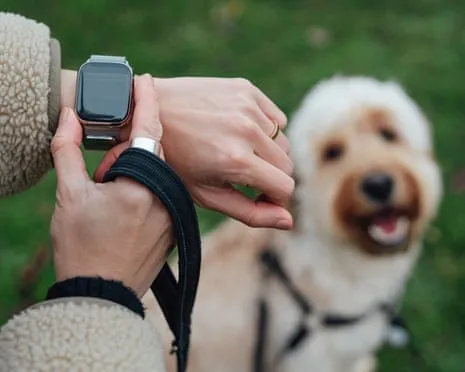 The Honest Scoop About Smartwatches? Daily Existence Is Better Lacking a Nagging Gadget on Your Wrist